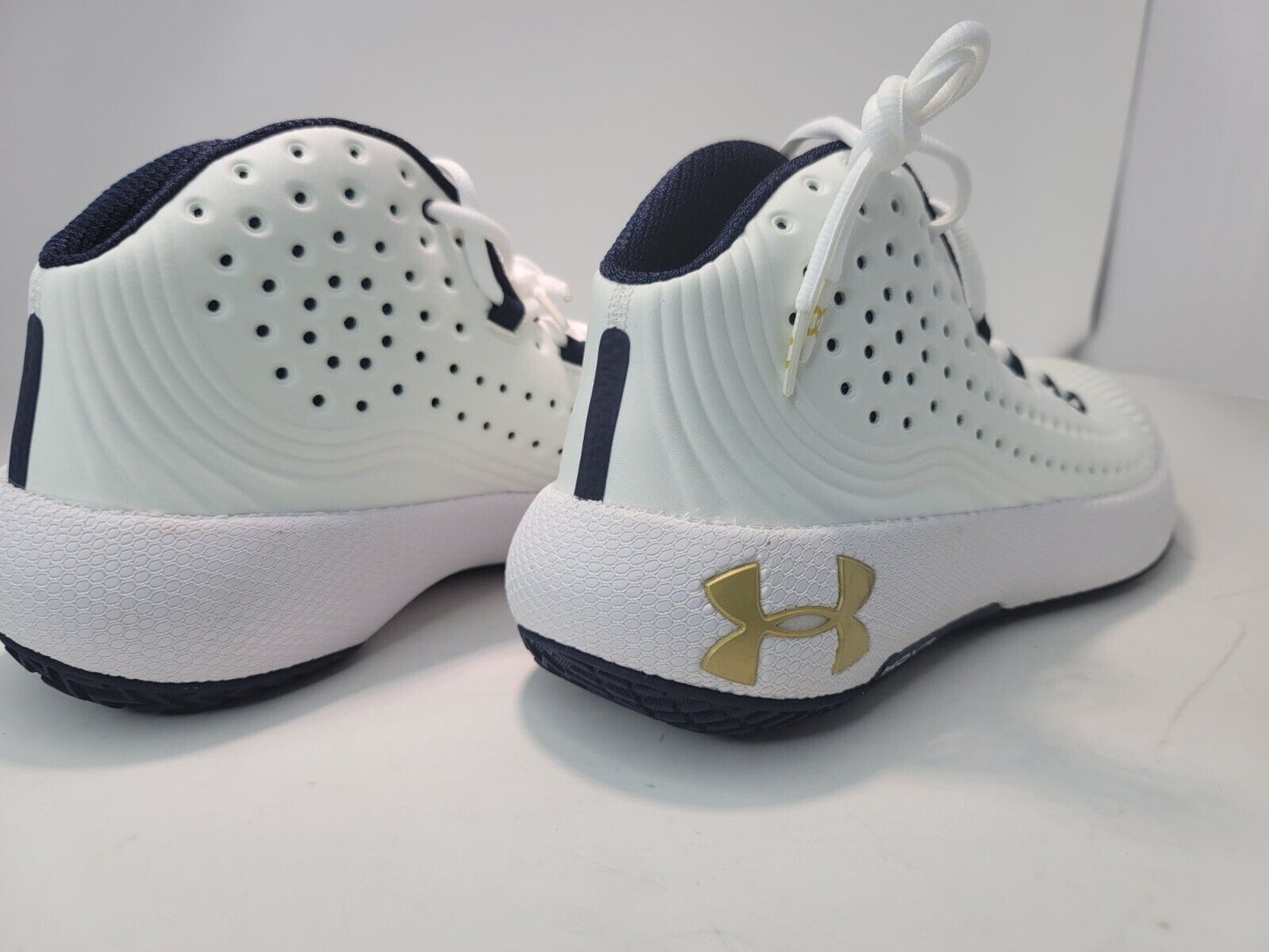Brand New Under Armour Men's HOVR Havoc 2 Basketball Shoes 3022657-102 Sz 15